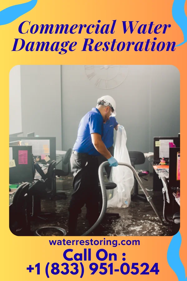 Commercial Water Damage Restoration in Litchfield, MN