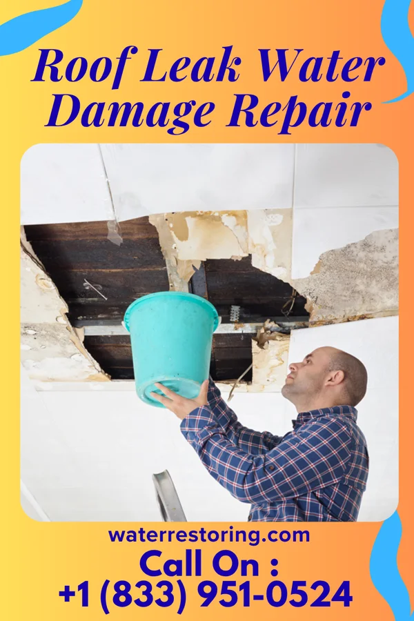 Roof Leak Water Damage Repair in Litchfield, MN